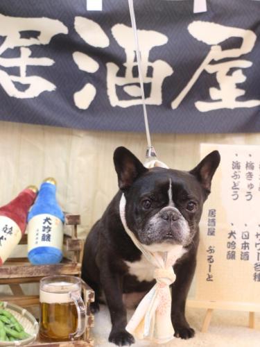 20240623スミレちゃん